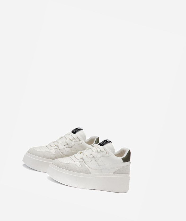 Off White / White / Leaf Women's ASH Match Low-Top Sneakers | 618JMXZYD