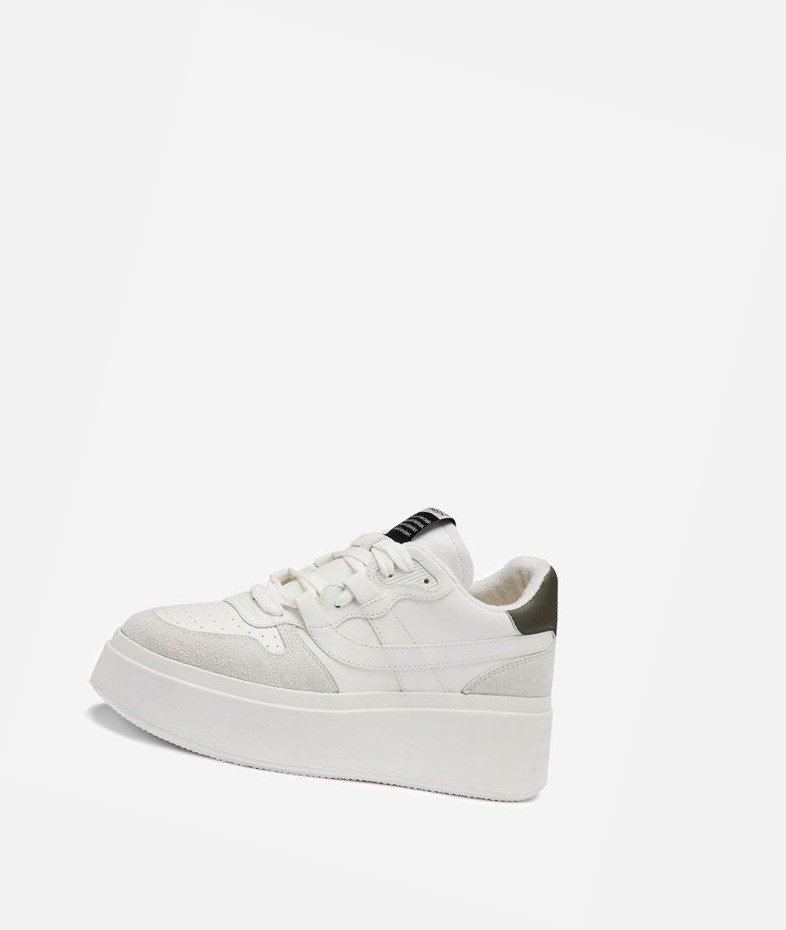 Off White / White / Leaf Women's ASH Match Low-Top Sneakers | 618JMXZYD