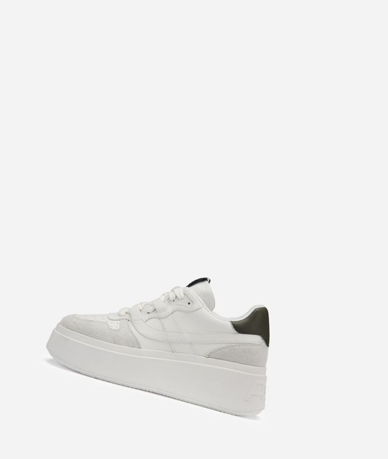 Off White / White / Leaf Women\'s ASH Match Low-Top Sneakers | 618JMXZYD