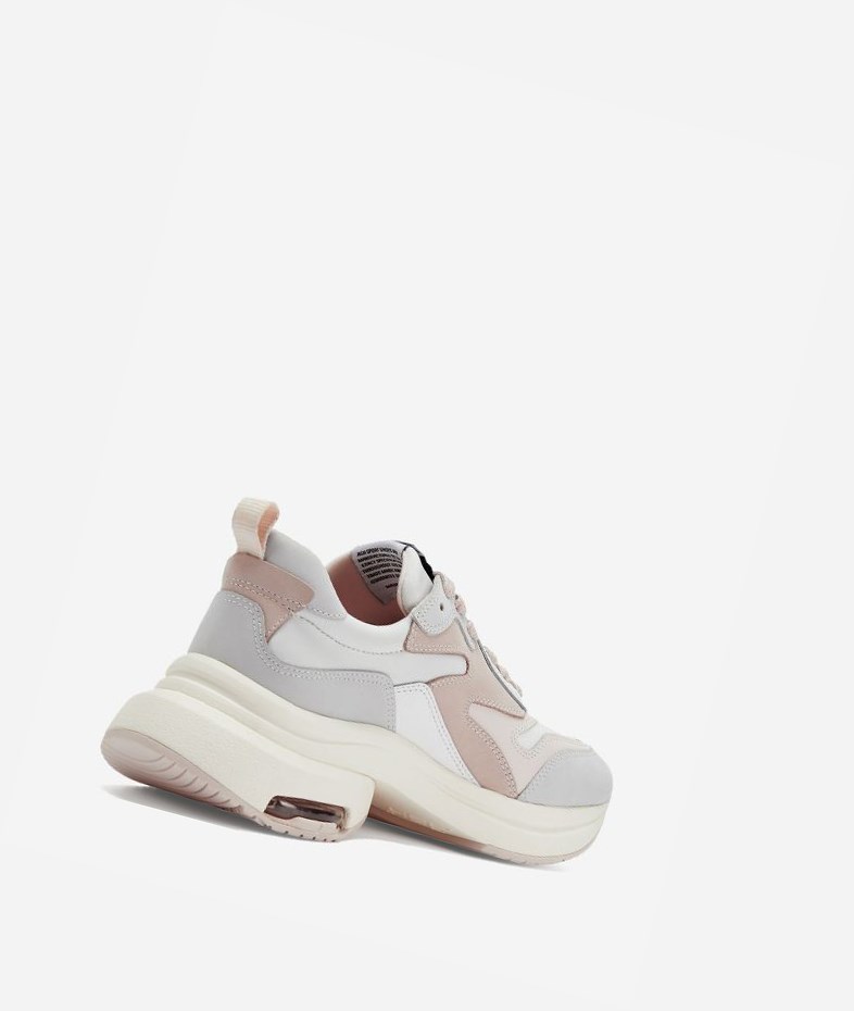 Pearl / White / Pinksalt / White Women's ASH Octopus Low-Top Sneakers | 621SHJRKZ