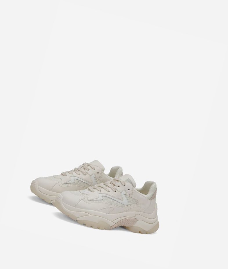 Pristine / Shell / White Women's ASH Addict Low-Top Sneakers | 728VIHLUC