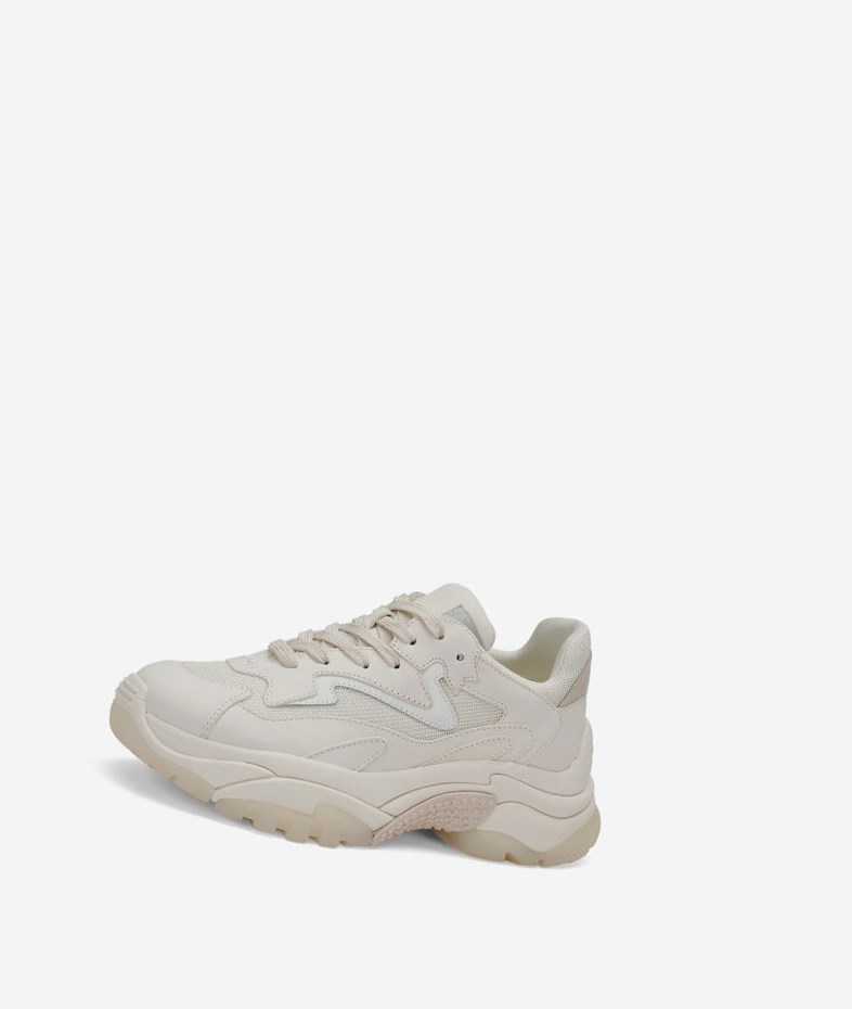 Pristine / Shell / White Women's ASH Addict Low-Top Sneakers | 728VIHLUC