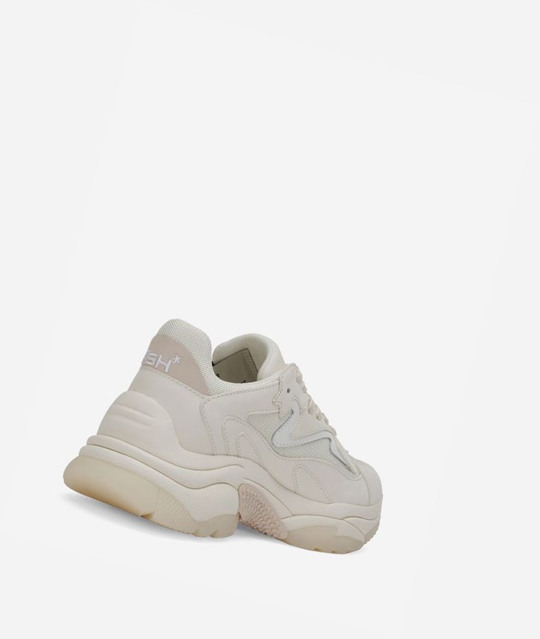 Pristine / Shell / White Women's ASH Addict Low-Top Sneakers | 728VIHLUC