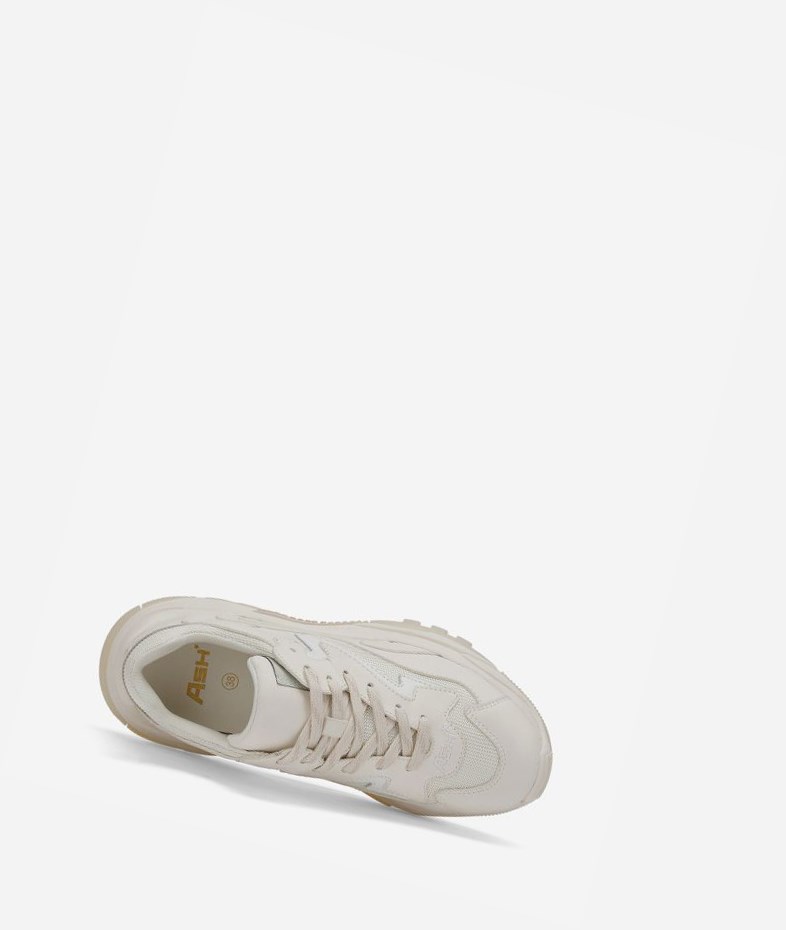 Pristine / Shell / White Women's ASH Addict Low-Top Sneakers | 728VIHLUC