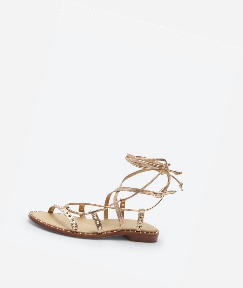 Rame Women's ASH Princess Flat Sandals | 342XNPWZB