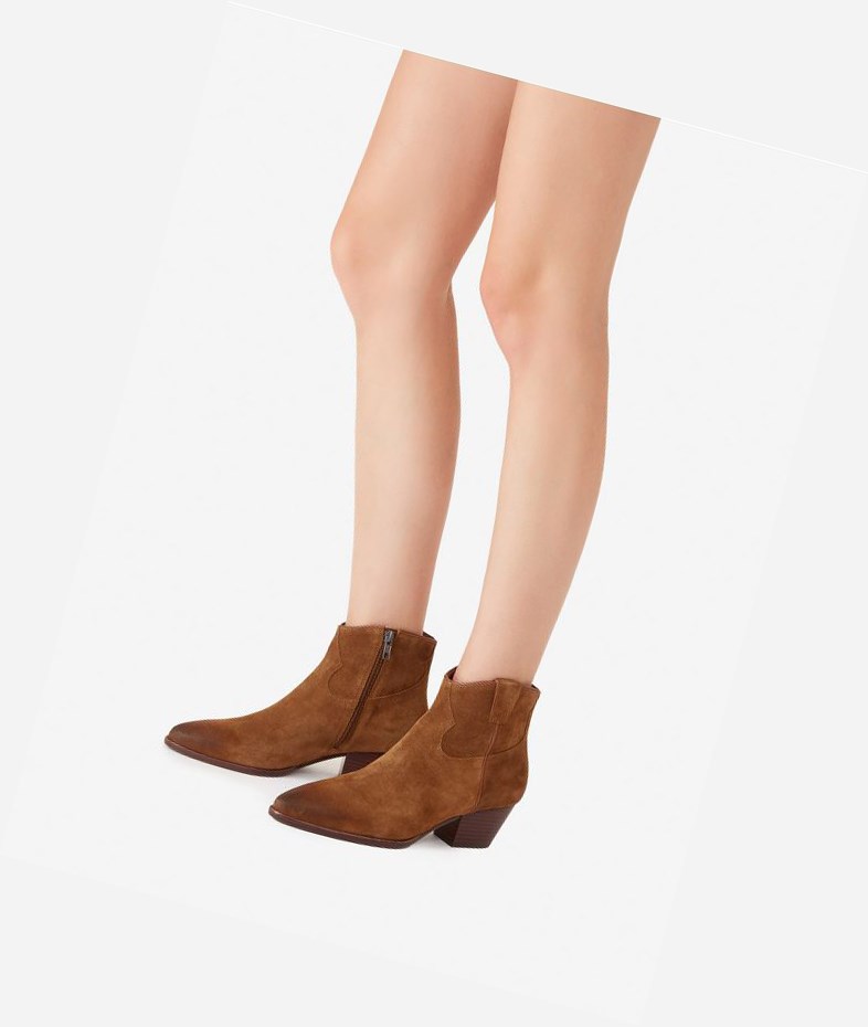 Russet Women's ASH Houston Ankle Boots | 721QNIRJA