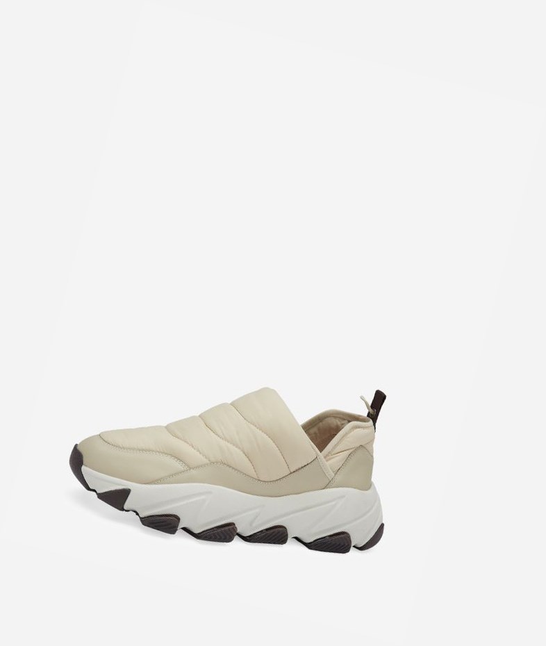 Shell / Light Shell Women's ASH Erin Low-Top Sneakers | 896PBHVNL