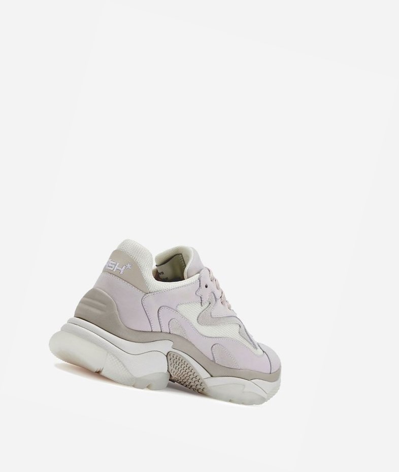 Shell / Off White / Talc / Pristine Women's ASH Addict Chunky Sneakers | 165OIFXRV