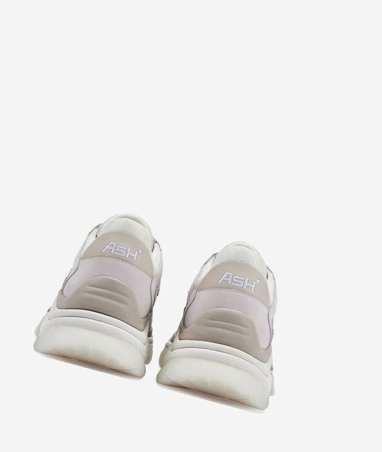 Shell / Off White / Talc / Pristine Women's ASH Addict Chunky Sneakers | 165OIFXRV