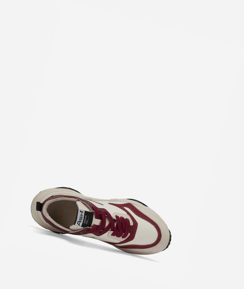 Shell / Red Dhalia / Rum / Pristine Women's ASH Octopus Low-Top Sneakers | 173LXBKGU