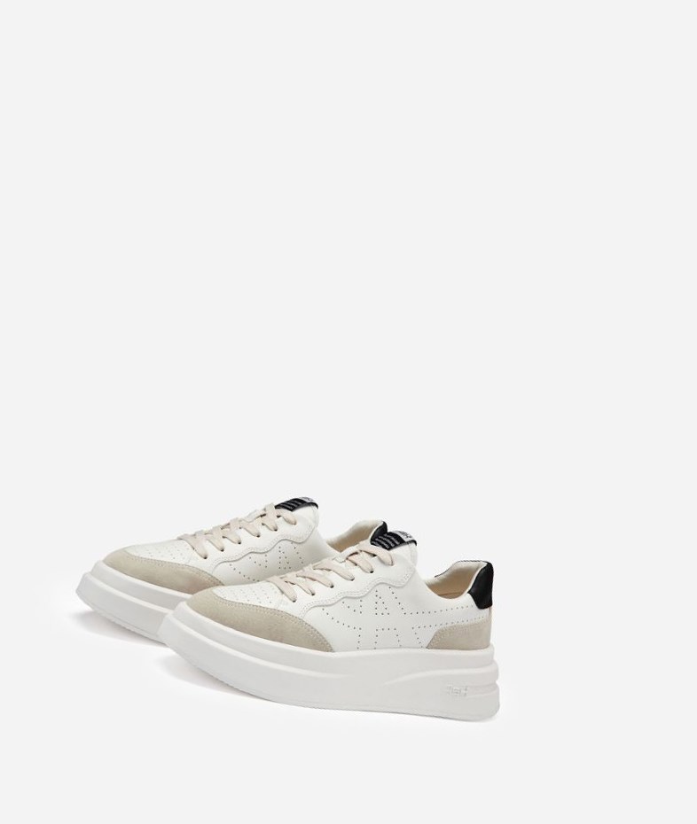 Shell / White / Black Women's ASH Impuls Low-Top Sneakers | 276TDBHGW