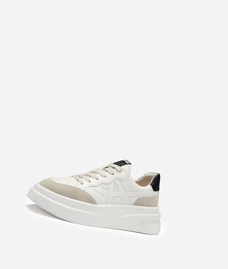 Shell / White / Black Women's ASH Impuls Low-Top Sneakers | 276TDBHGW