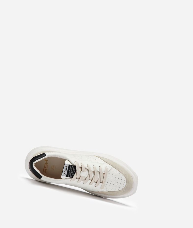 Shell / White / Black Women's ASH Impuls Low-Top Sneakers | 276TDBHGW