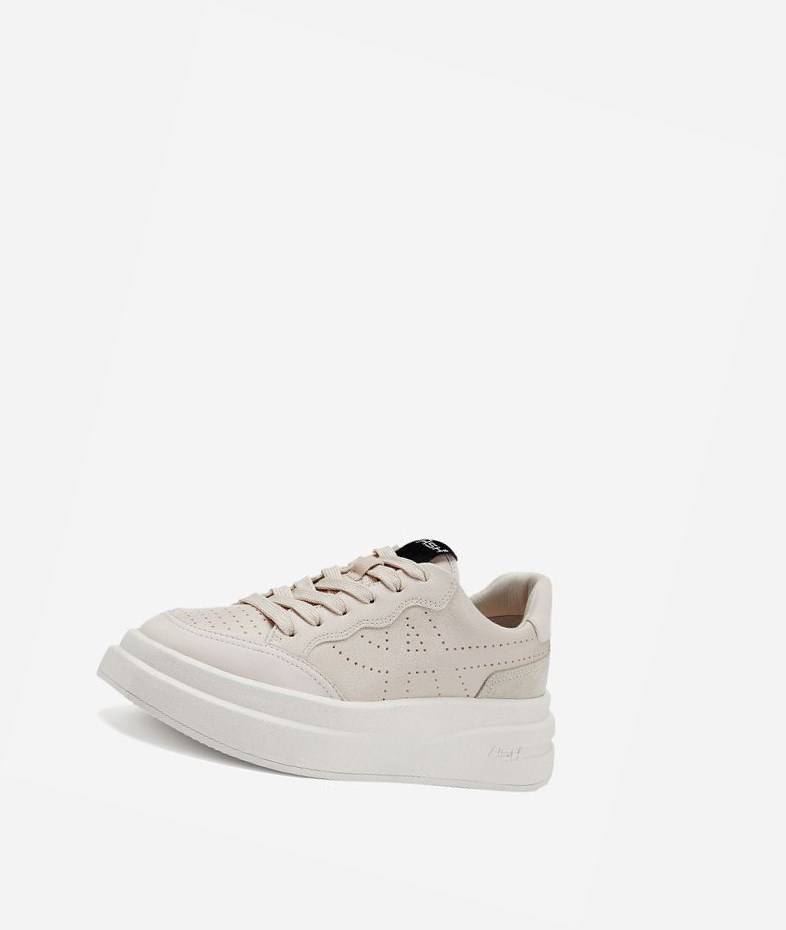 Shell Women's ASH Impuls Low-Top Sneakers | 120GMSAHC