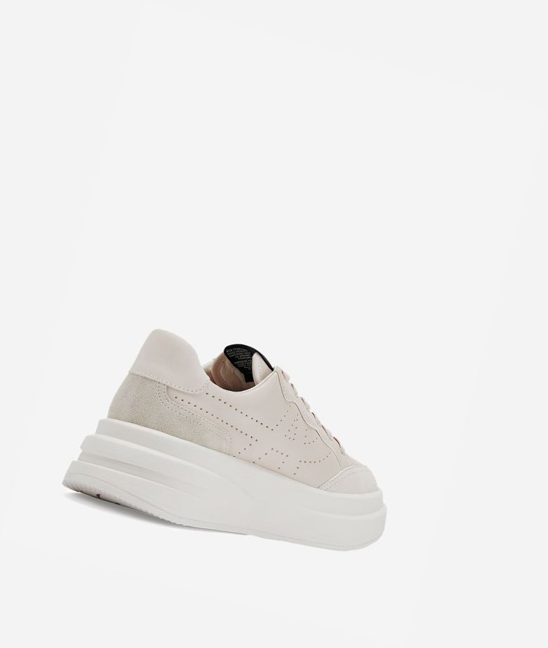 Shell Women's ASH Impuls Low-Top Sneakers | 120GMSAHC