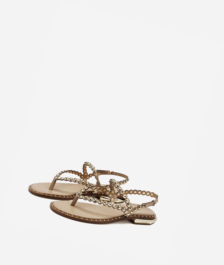 Skin Women's ASH Patchy Flat Sandals | 721VKEDYN