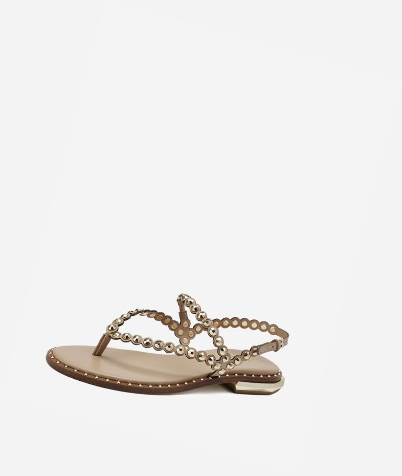 Skin Women's ASH Patchy Flat Sandals | 721VKEDYN