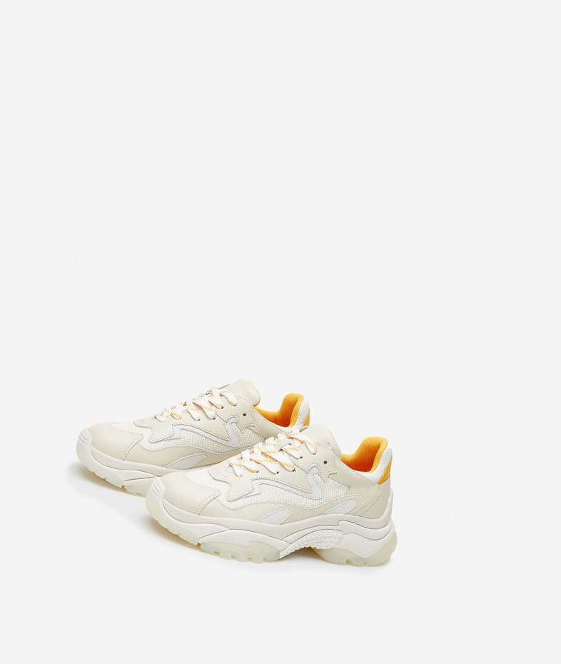 Talc / Off White / Spark / Pristine Women's ASH Addict Chunky Sneakers | 126YIOHWB