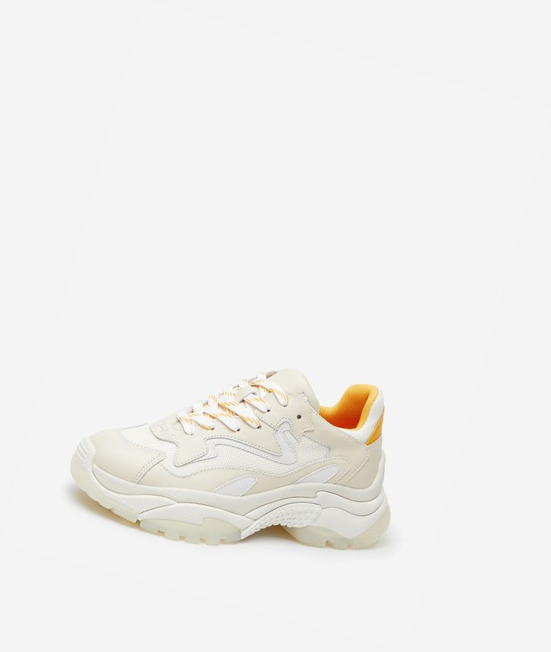 Talc / Off White / Spark / Pristine Women's ASH Addict Chunky Sneakers | 126YIOHWB