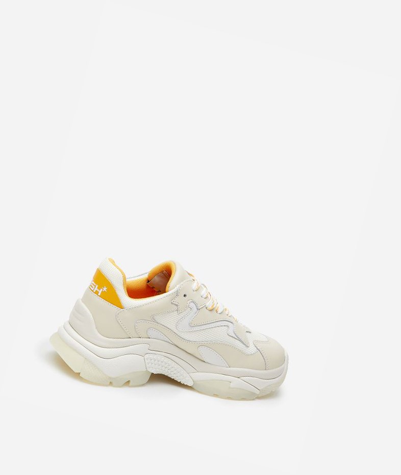 Talc / Off White / Spark / Pristine Women's ASH Addict Chunky Sneakers | 126YIOHWB