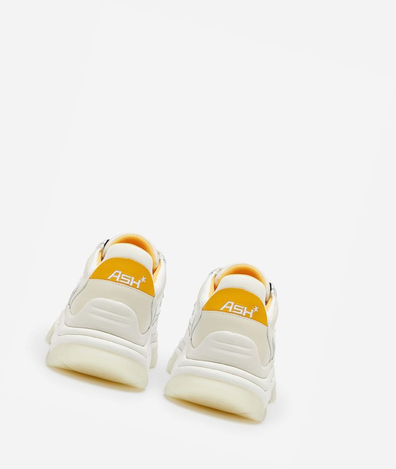 Talc / Off White / Spark / Pristine Women's ASH Addict Chunky Sneakers | 126YIOHWB