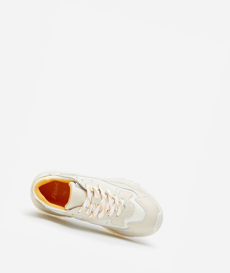 Talc / Off White / Spark / Pristine Women's ASH Addict Chunky Sneakers | 126YIOHWB