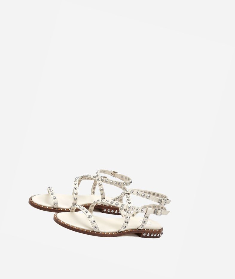 Talc Women's ASH Petra Flat Sandals | 602TJLFNM