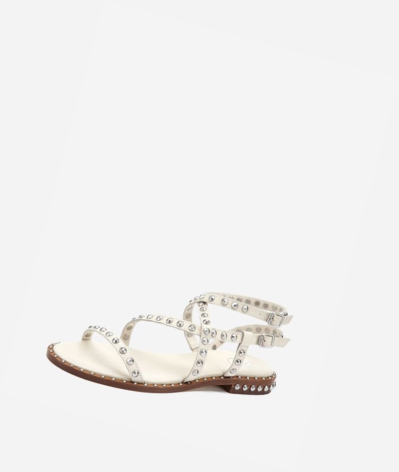 Talc Women's ASH Petra Flat Sandals | 602TJLFNM