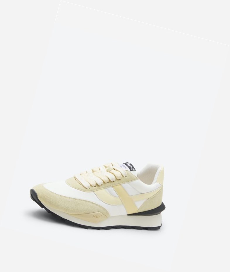 Vaniglia / Almond Oil / Off White Women's ASH Spider Low-Top Sneakers | 129GXMOKE