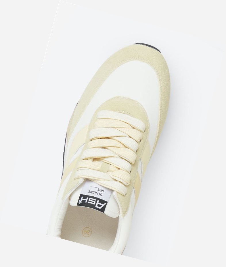 Vaniglia / Almond Oil / Off White Women's ASH Spider Low-Top Sneakers | 129GXMOKE