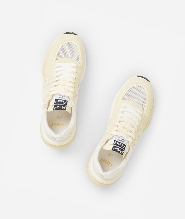 Vaniglia / Off White / Almond Oil Women's ASH Spider 620-02 Low-Top Sneakers | 407GTFSLW