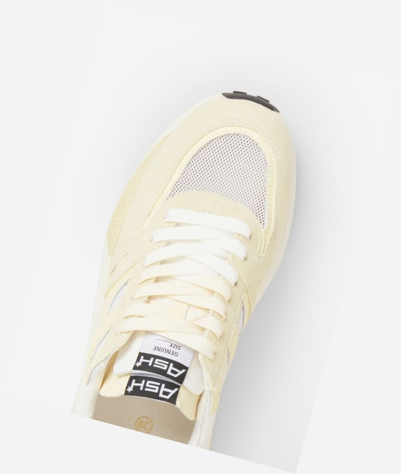 Vaniglia / Off White / Almond Oil Women's ASH Spider 620-02 Low-Top Sneakers | 407GTFSLW