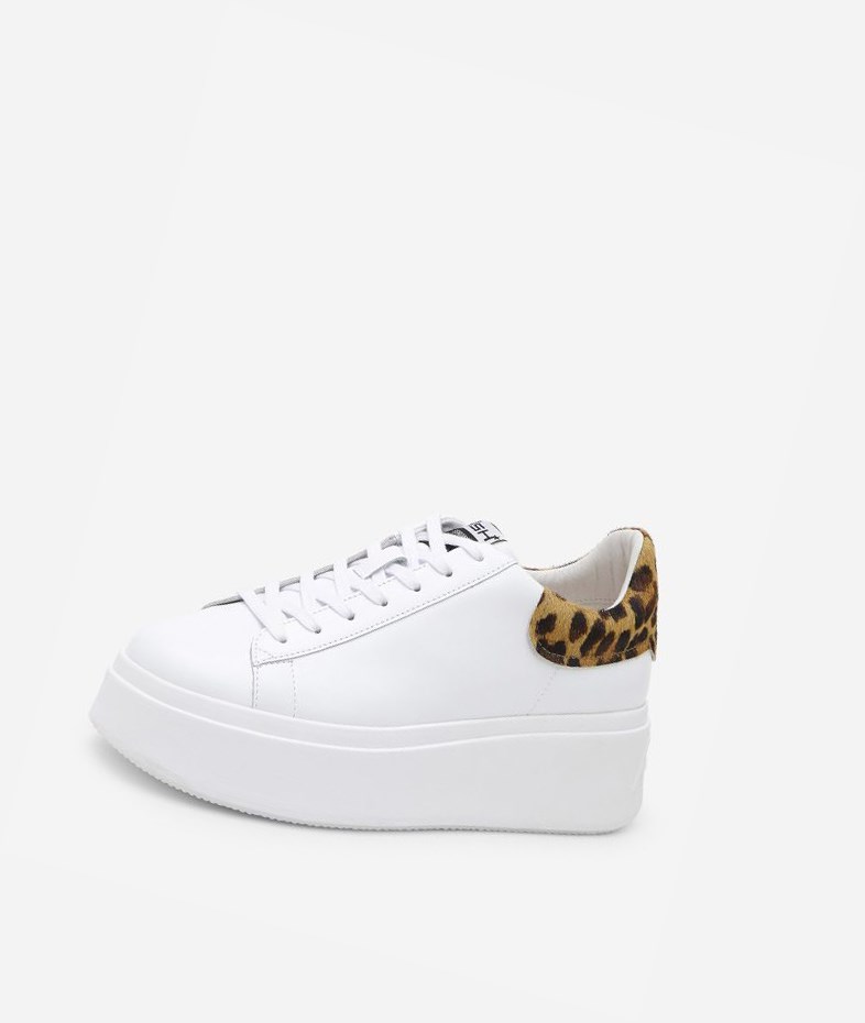 White / Black / Tan Women's ASH Moby Low-Top Sneakers | 841NCVOXA