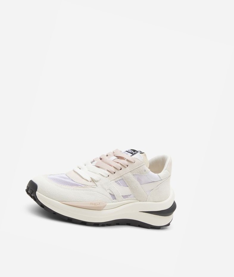 White / Eggnug / Off White Women's ASH Spider 620-02 Low-Top Sneakers | 239GOAKUQ