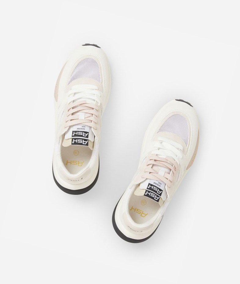 White / Eggnug / Off White Women's ASH Spider 620-02 Low-Top Sneakers | 239GOAKUQ