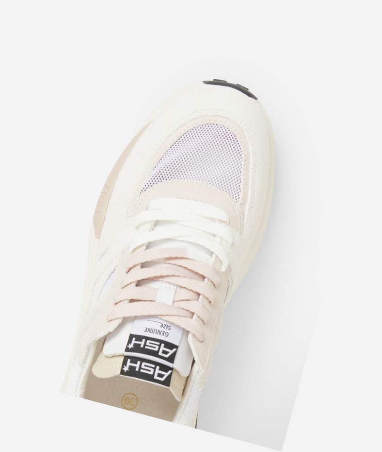 White / Eggnug / Off White Women's ASH Spider 620-02 Low-Top Sneakers | 239GOAKUQ