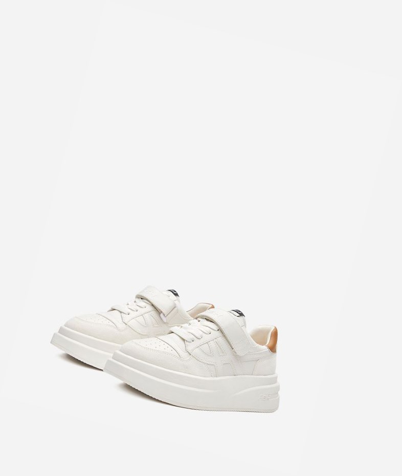 White / Golden Brown Women's ASH Indy Low-Top Sneakers | 642IROCBQ