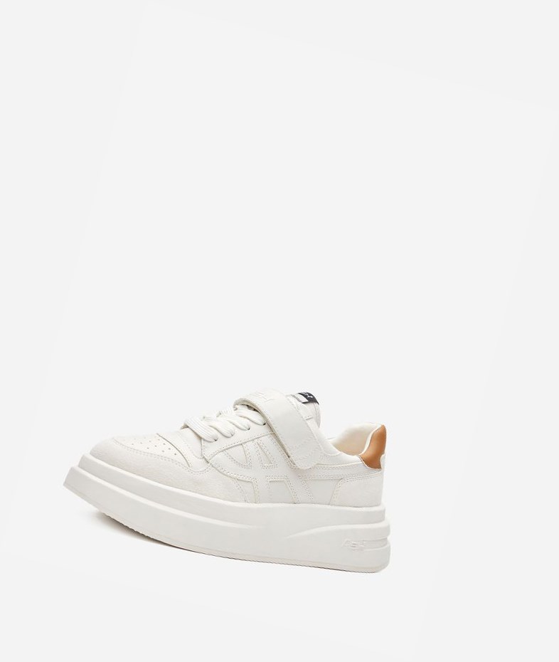 White / Golden Brown Women's ASH Indy Low-Top Sneakers | 642IROCBQ