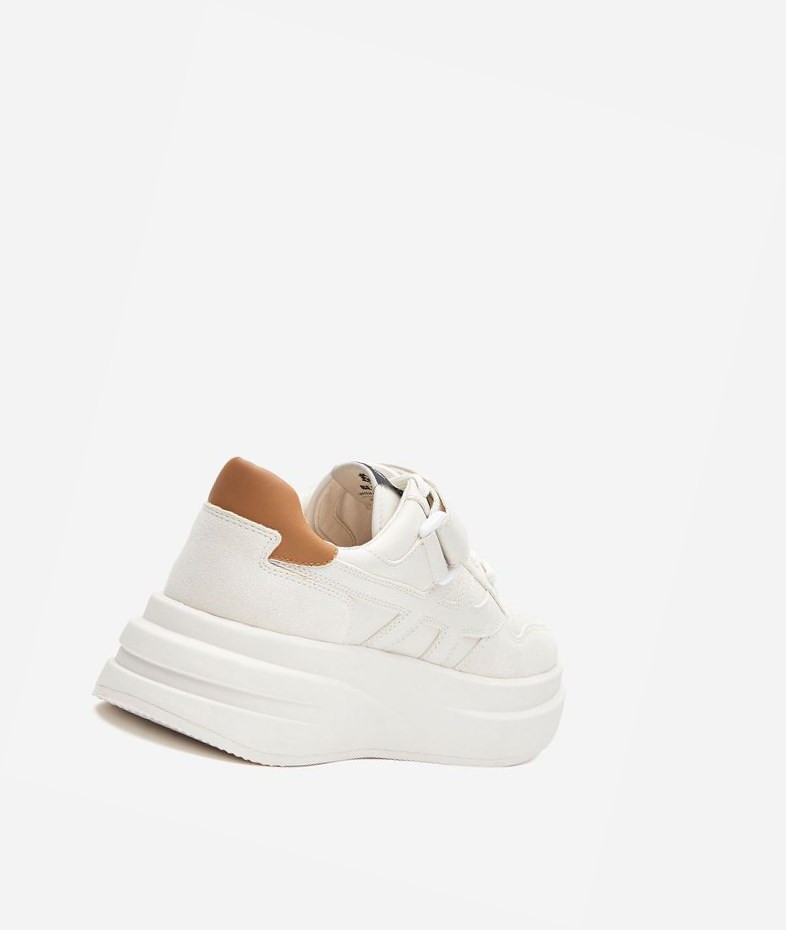 White / Golden Brown Women's ASH Indy Low-Top Sneakers | 642IROCBQ