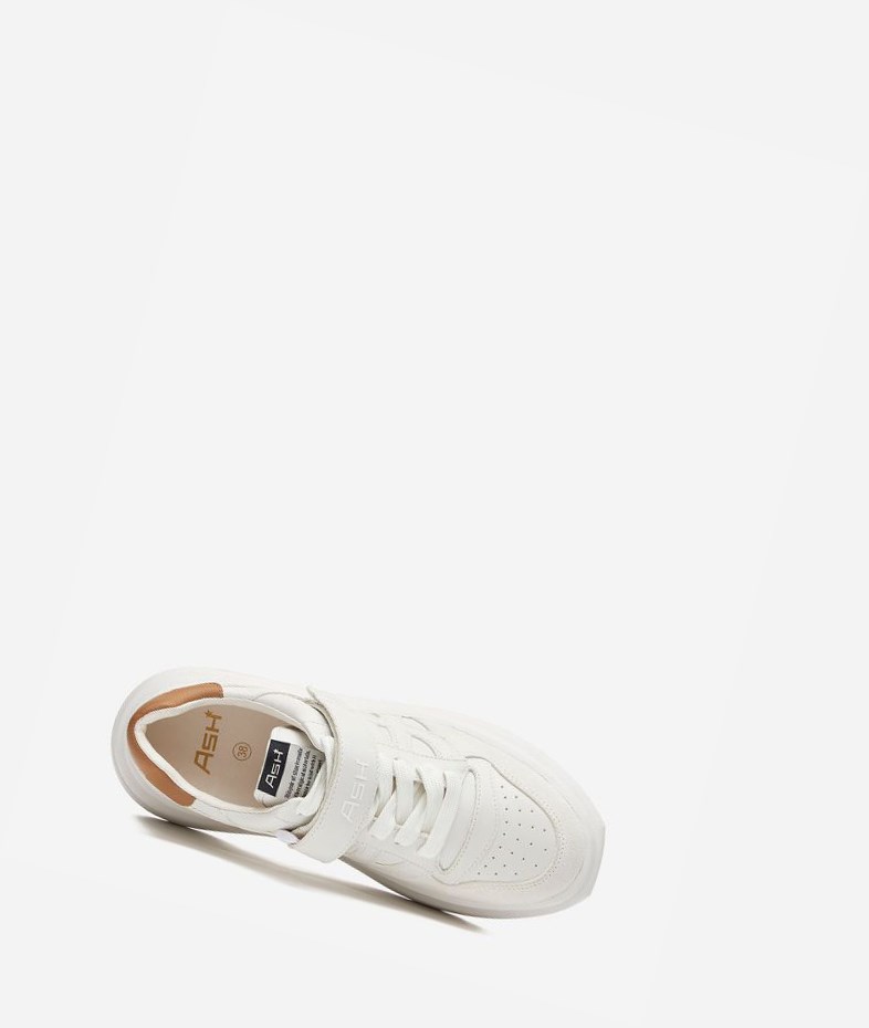 White / Golden Brown Women's ASH Indy Low-Top Sneakers | 813IGPQMZ