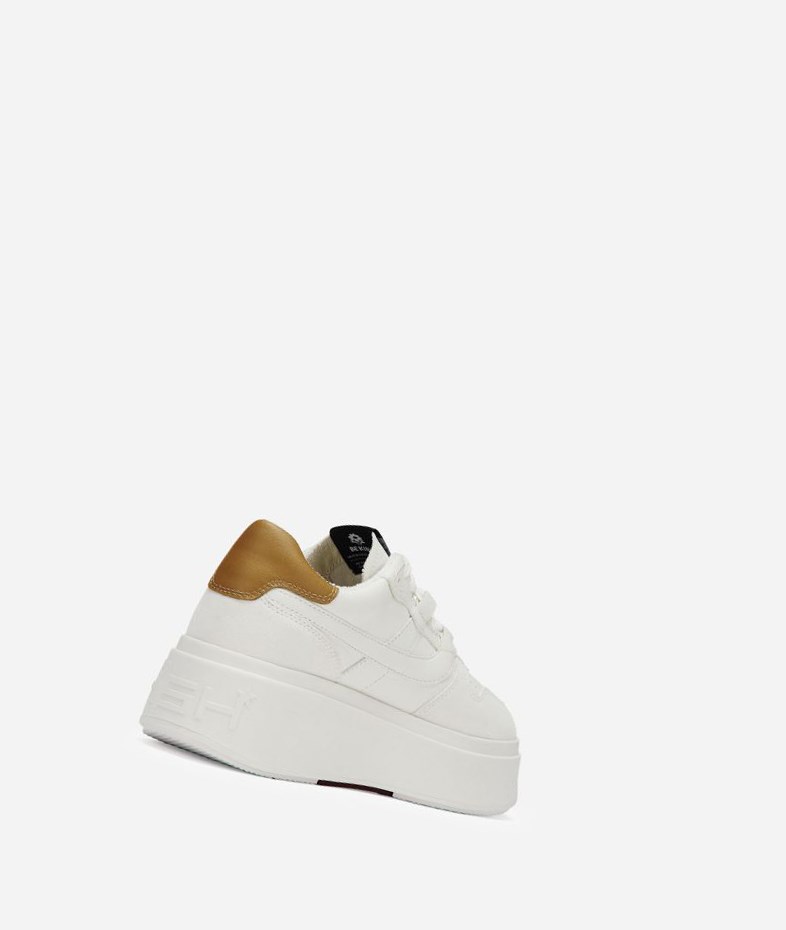 White / Golden Brown Women's ASH Match Low-Top Sneakers | 184VBOECT