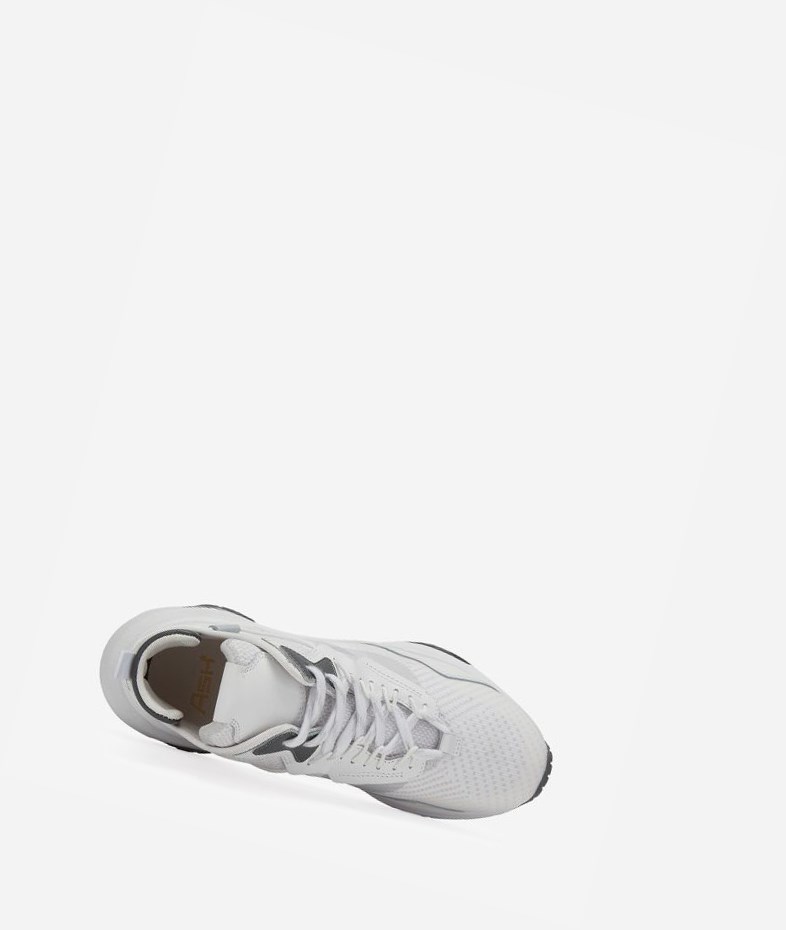 White / Lt Grey / Fog Women's ASH Oddisey Low-Top Sneakers | 580BGZQON