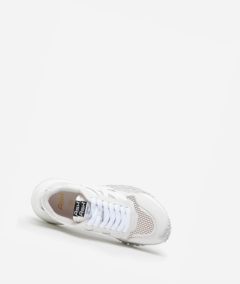 White / Off White / Matte White Women's ASH Joker Low-Top Sneakers | 839UVFNSO