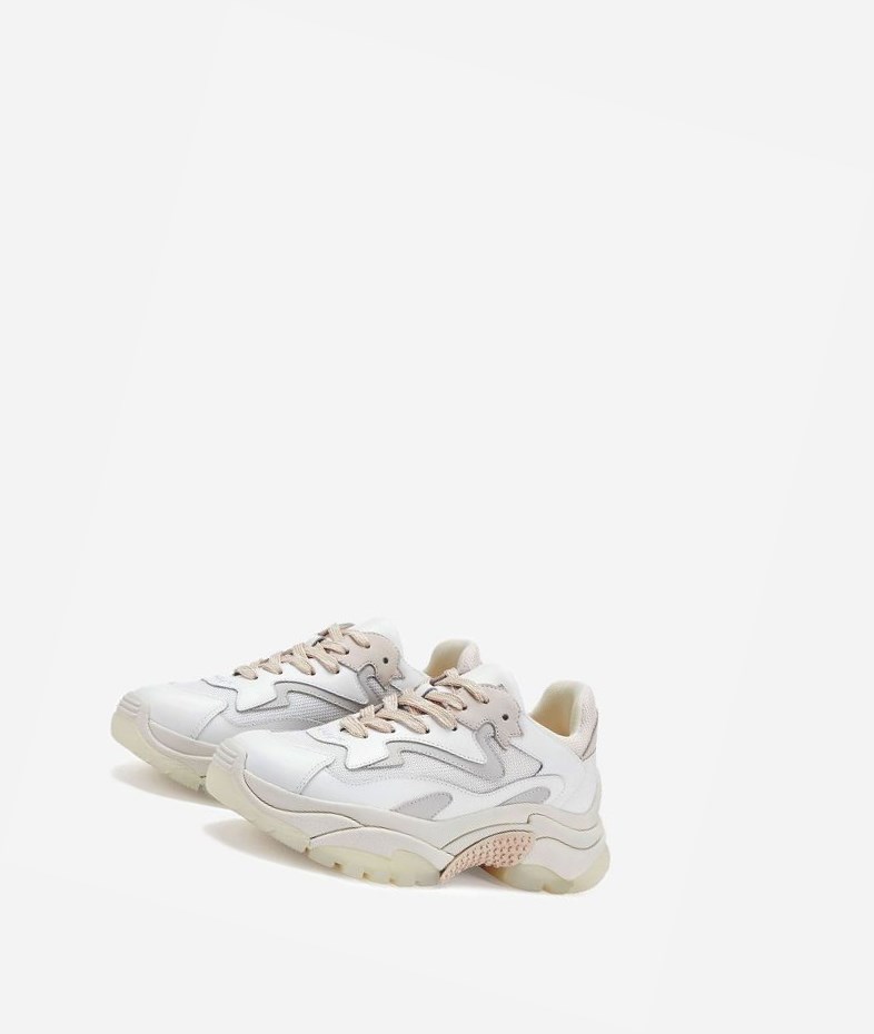 White / Off White / Shell Women's ASH Addict Chunky Sneakers | 589STCJDY