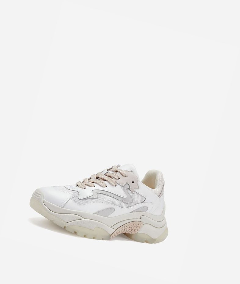 White / Off White / Shell Women's ASH Addict Chunky Sneakers | 912HFVUED