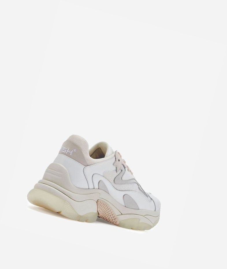 White / Off White / Shell Women's ASH Addict Chunky Sneakers | 912HFVUED