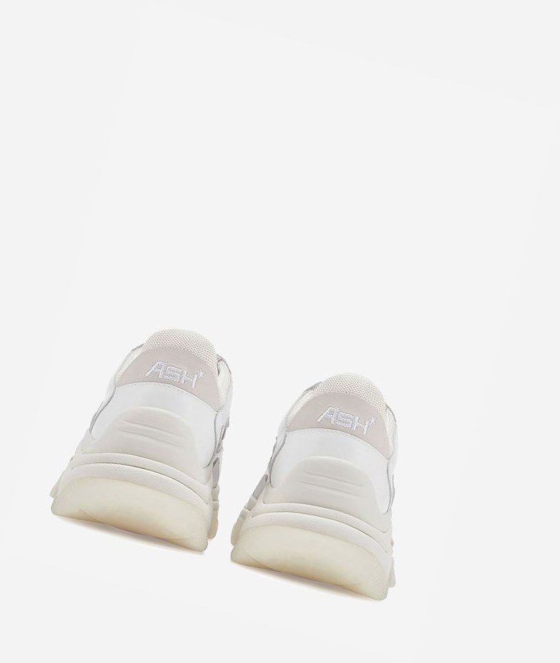 White / Off White / Shell Women's ASH Addict Chunky Sneakers | 912HFVUED