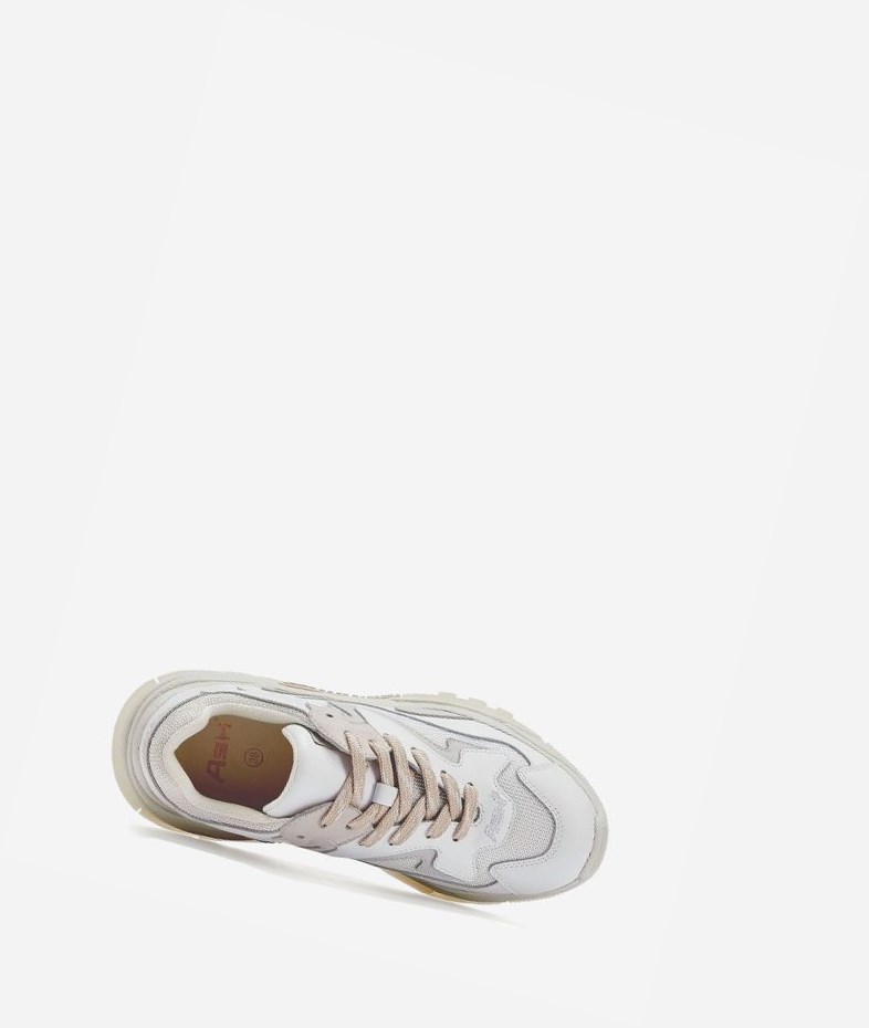 White / Off White / Shell Women's ASH Addict Chunky Sneakers | 912HFVUED