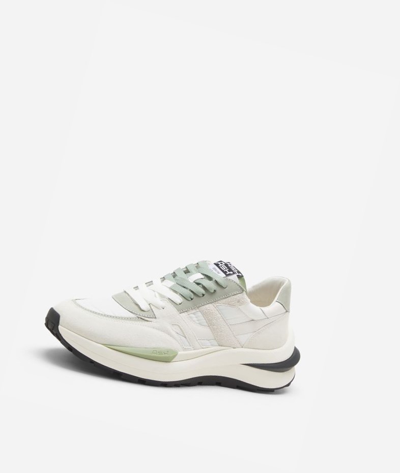 White / Off White / Tea Men's ASH Spider 620 Man Low-Top Sneakers | 142KMUFQZ