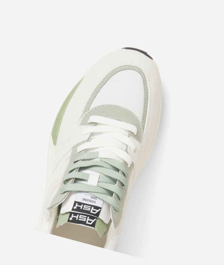 White / Off White / Tea Men's ASH Spider 620 Man Low-Top Sneakers | 142KMUFQZ